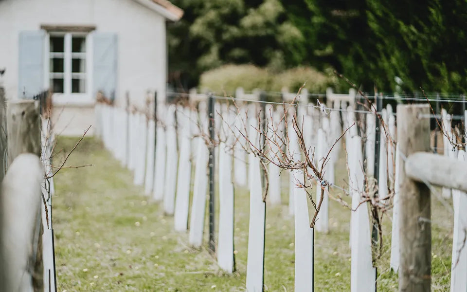 French Immersion Retreat Weekend in Austalia - Evalasting