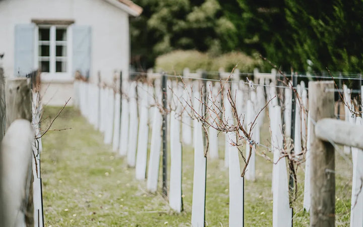 French Immersion Retreat Weekend in Austalia - Evalasting